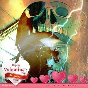 Meet your Posher, Shane